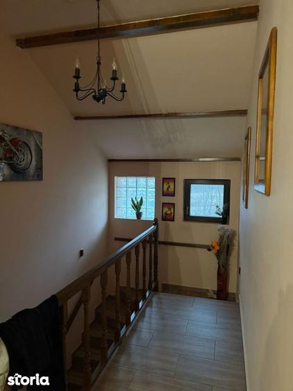 Casa deosebita S+P+E, 440 mp utili, 5000 mp teren, Malu Mare - 9