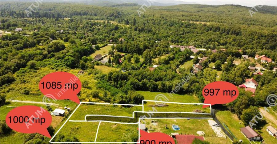 Teren intravilan de 1900 mp in Avrig zona Valea Avrigului - 6