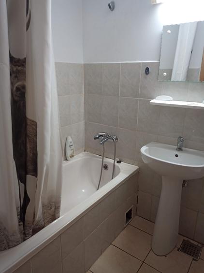 Inchiriere garsoniera Drumul Taberei Brancusi - 7