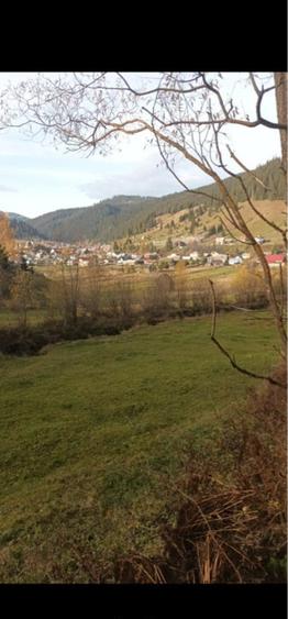 Teren comuna Carlibaba, jud. Suceava 8170mp - 1