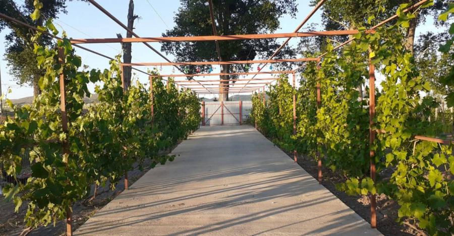 HORIA - 3 CAMERE ,SUPRAFATA 100 MP,TEREN 3000 MP CU DESCHIDE - 14