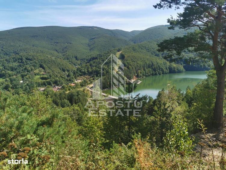 Teren intravilan, 2000mp, cu vedere panoramica spre lacul Valiug - 10