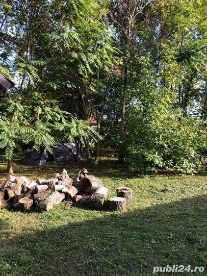 Casa solida din caramida cu 4 camere ?icula Jud. Arad - 4