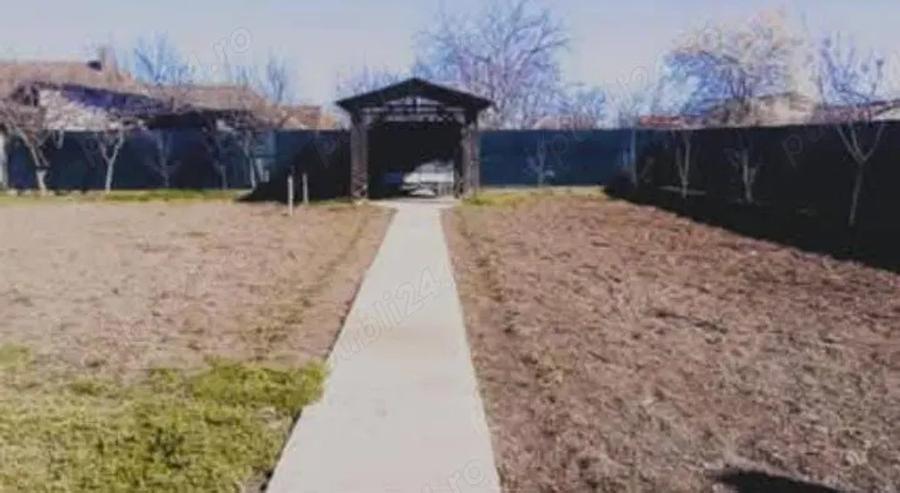 Vand casa Pecica - 3