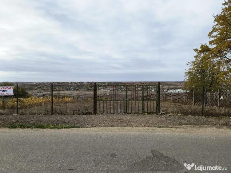 Teren Intravilan Alimane?ti Loturi de Casa la Asfalt, de la 12.000 - 3
