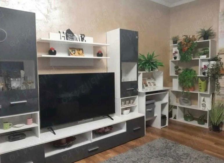 Vindem Ap 2 cam, decomandat Rogerius - 4