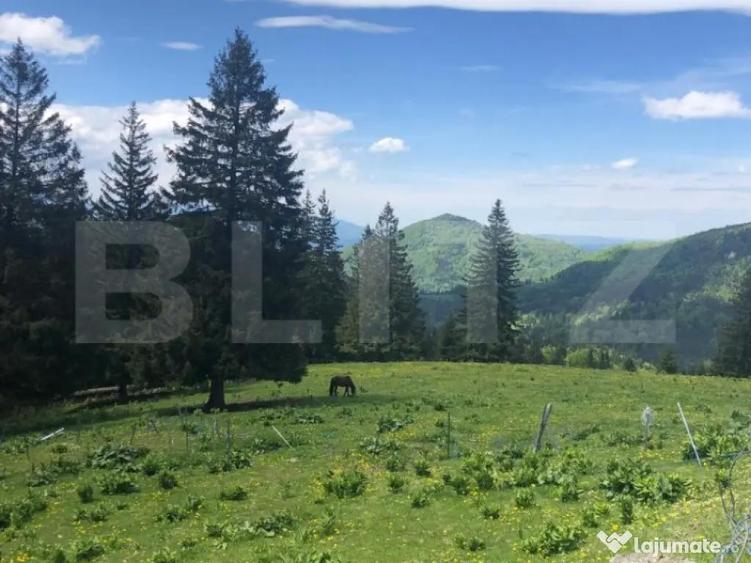 De vanzare, teren intravilan 10.000mp, Predeal - 5