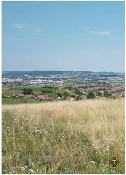 Vand 9 ari teren intravilan, Sancraiu de Mures, aproape de padure - 1