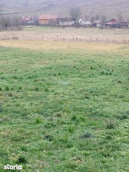 Casa de vanzare in Boian - 8