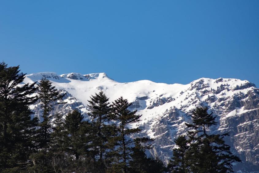 Sinaia – Peles, 1346 mp de teren, de vanzare! - 2
