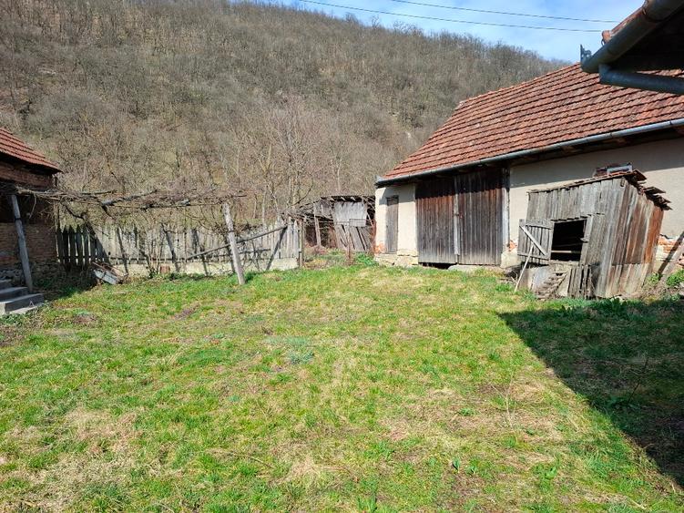 Vând casa Stancesti (Dobra) - 1