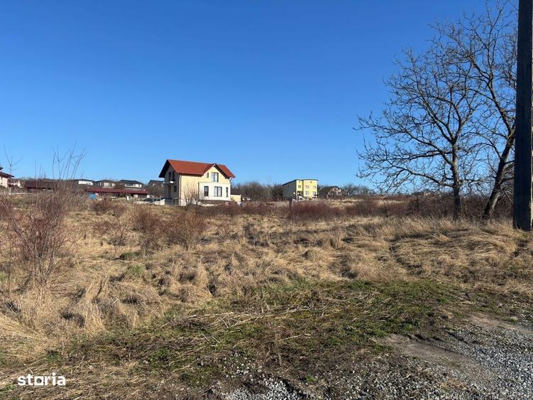 Teren intravilan Pomet - 3