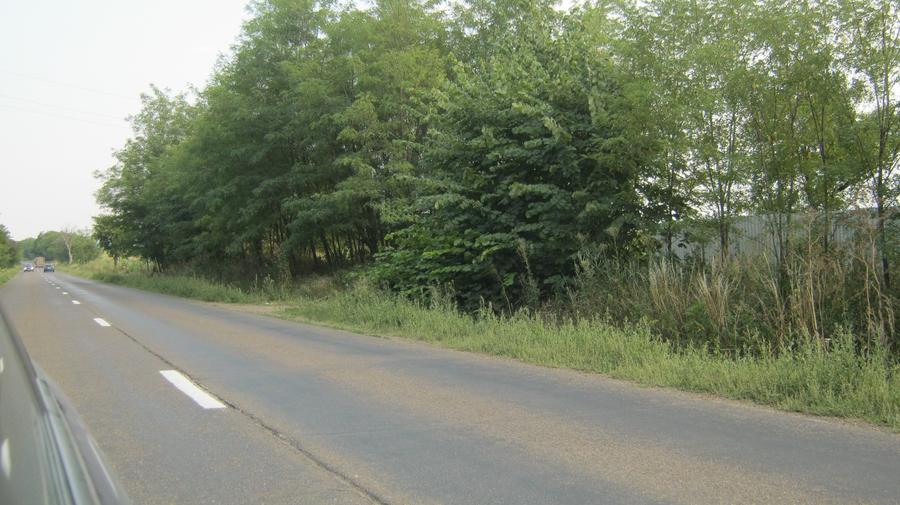 Teren la Buzeni, com.Baluseni - 1