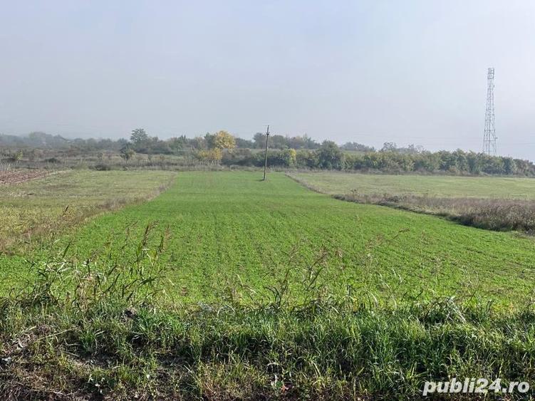 Teren de 5450 mp, în Central