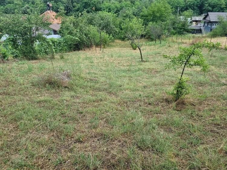 Casă cu 3 camere cu Teren 4300 Mp în Ionești