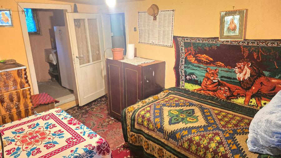 Vand casa in Deva, zona Viile Noi, suprafata totala de teren de 766 mp - 15