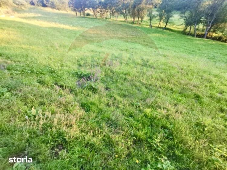 Teren de 6900 mp, în Ocna Șugatag