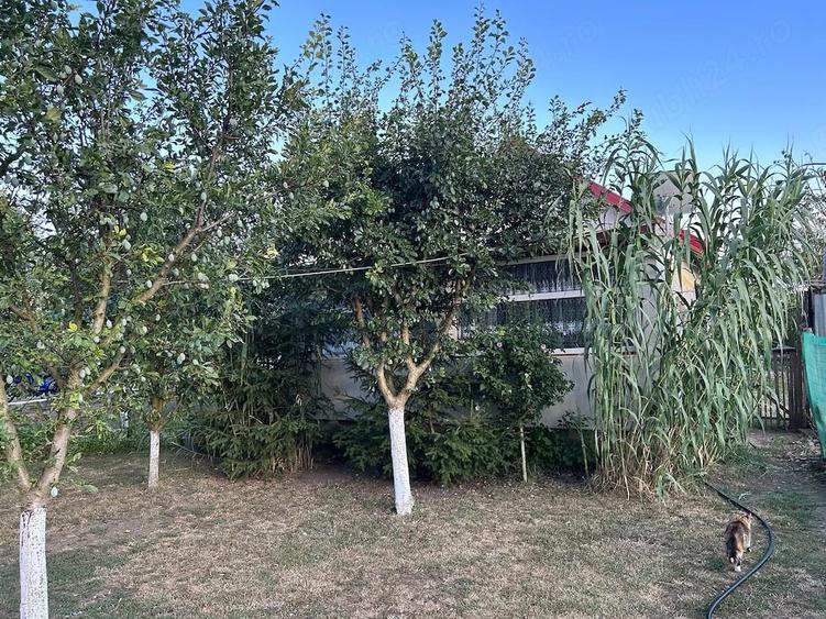 Casă cu Teren 7000 Mp în Central