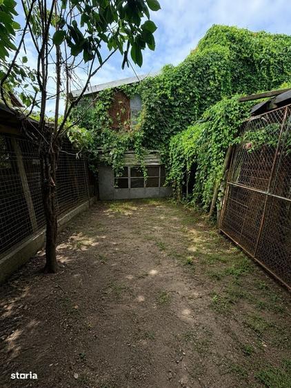 Casă cu 3 camere în Central