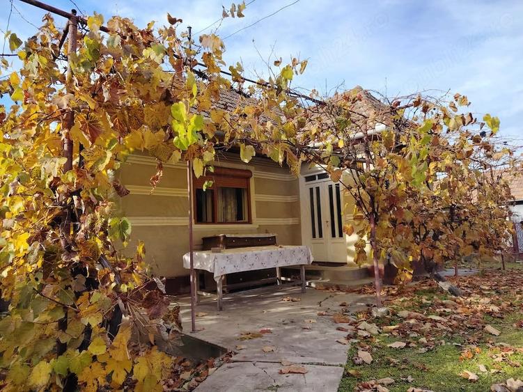 Casă cu 2 camere cu Teren 1300 Mp în Central