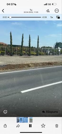 Teren sosea Mosnita Bucovat - 6