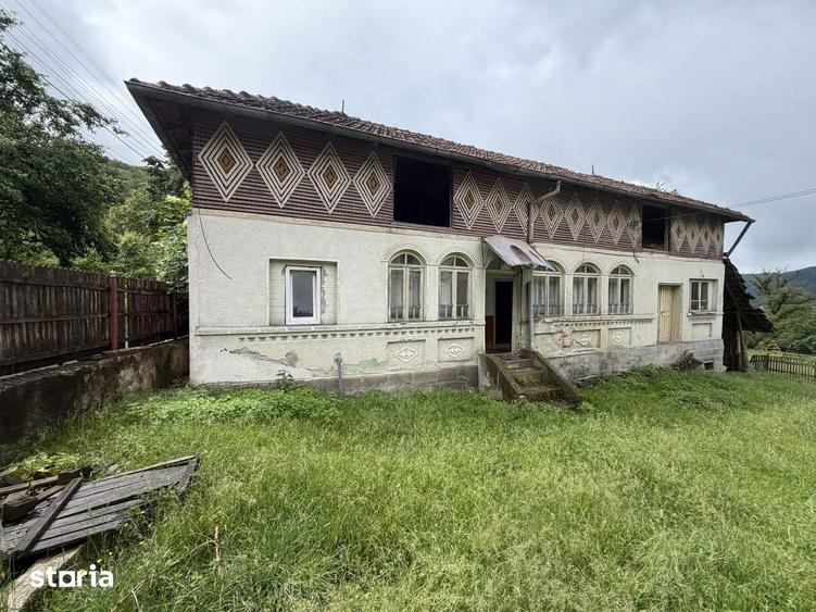 Case Parintesti, Com. Vulturesti, 3600 mp, zona superba - 7