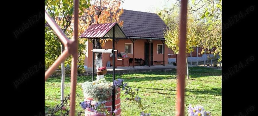 Vand casa de vacanta - 5