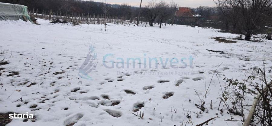 Teren intravilan, zona Gheorghe Doja, Oradea, Gaminvest, V4529A - 3
