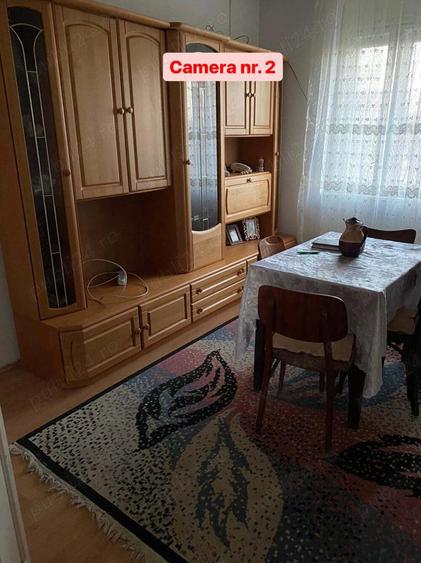 Vand sau schimb, 1439 mp, sat Bodo - 9