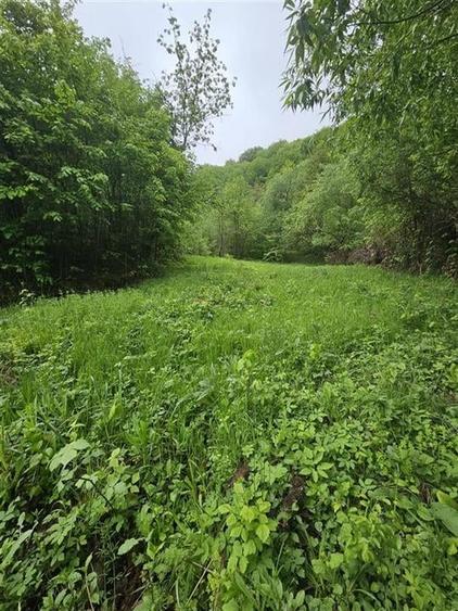 TEREN  PENTRU BUSSINESS 2842 MP DE VANZARE IN STATIUNEA  TARGU OCNA - 10