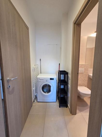Apartament 2 camere Baneasa cu gradina - 11