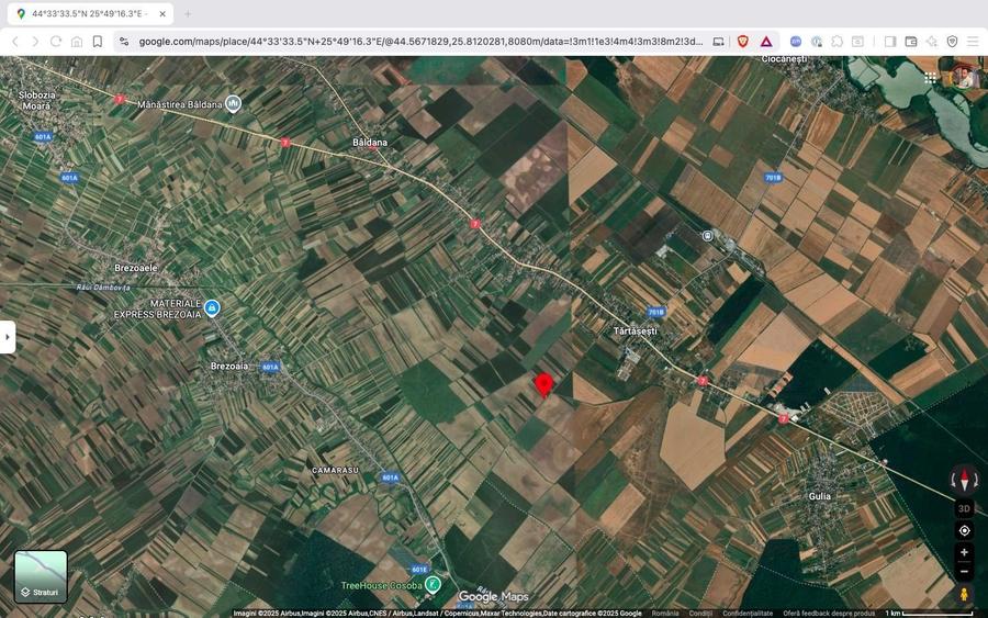 Teren extravilan 10.000 mp Tartasesti Dambovita - 4