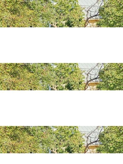 Casa in Tuguieta Barlad jud Vaslui - 4