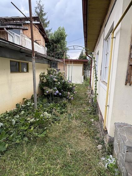 Casa de vanzare in Campina - 4