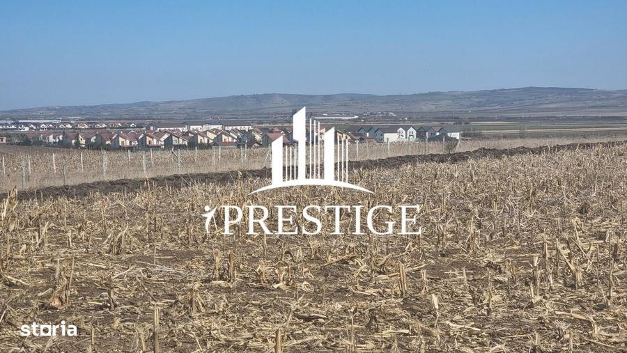 Teren Intravilan Pentru Constructie Casa | Sura Mica | Puz Aprobat - 6