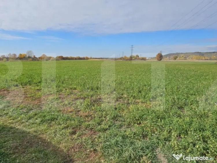 Teren in Razvad intravilan 1400mp cu acces la curent electri - 4