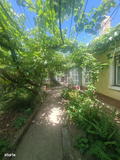 Casa P+E Episcopia teren 1600 mp - 8