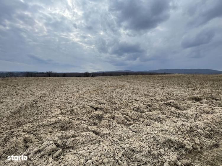 TEREN EXTRAVILAN | 23 ARI | HORODNIC DE SUS - 4