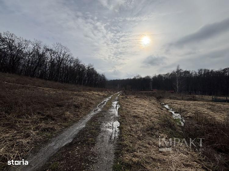 De vanzare doua parcele de 3752 mp impreuna- zona Faget - 4