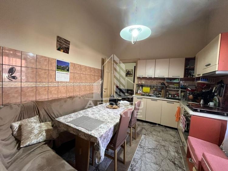 Casa individuala  7 camere, 3 bai, garaj, teren 1129 mp, zona Iosefin - 11