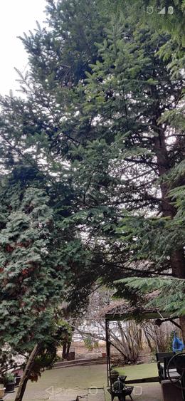 Teren 684 mp și vilă zona Viilor/Parcul Carol - 3