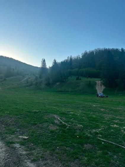 Teren intravilan în Marginea - 10