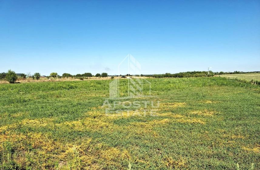 Teren, intrarea in Zadareni - 4