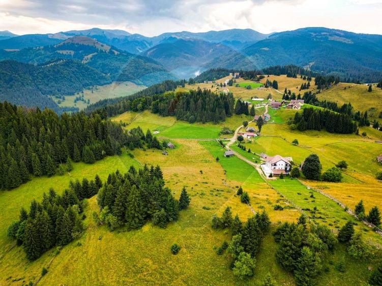 Teren de 7830mp de vanzare in Fundata! Comision 0% - 13