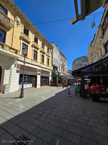 Spatiu Comercial 140mp (+50mp subsol) Strada Franceza Centrul Vechi Istoric - 2