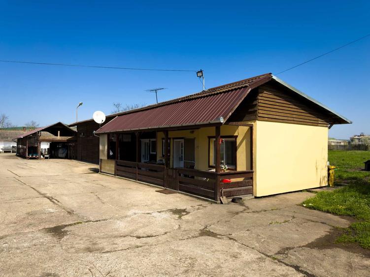 SE VINDE SAU SE INCHIRIAZA teren cu constructii Ludus - 8