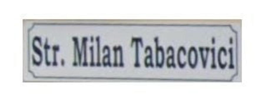 De vanzare Teren Intravilan 972 mp, Str. Tabacovici Arad -Vila/Duplex - 2