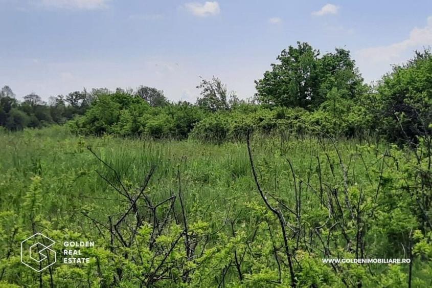 Teren intravilan 2880 mp, DJ 572 Lipova - 3