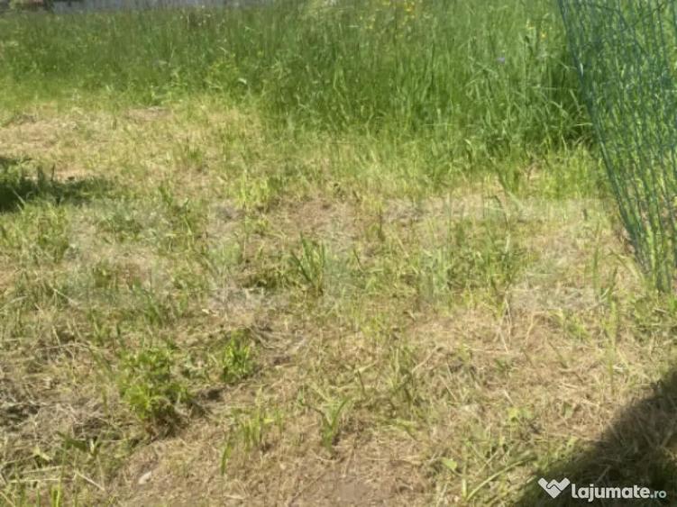 Teren intravilan in Vatra Dornei, 1000 mp - 5