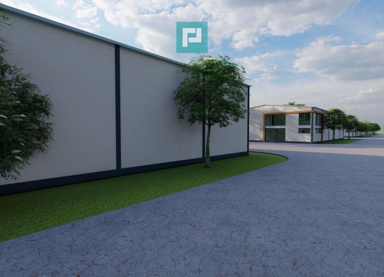 Hală industrială nouă de vânzare – Balaceanca - 4